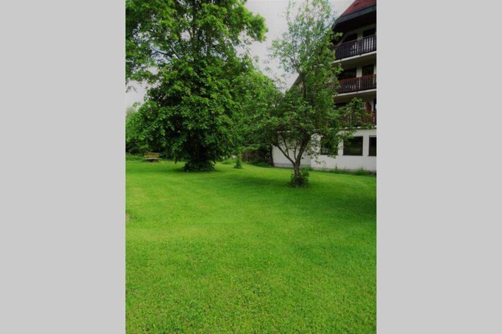 Modernes Apartment Mit Traumhaftem Blick Ins Gruene Bräunlingen Exteriér fotografie