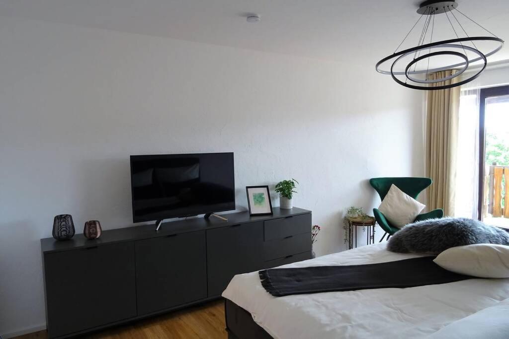 Modernes Apartment Mit Traumhaftem Blick Ins Gruene Bräunlingen Exteriér fotografie